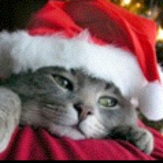 quiksilver_m's profile picture. 自称器用貧乏、ジョブズに感謝しながら、日々あれやこれやと創作致して居ります。