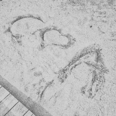 cray_vee's profile picture. Tambakan ng mga naiisip