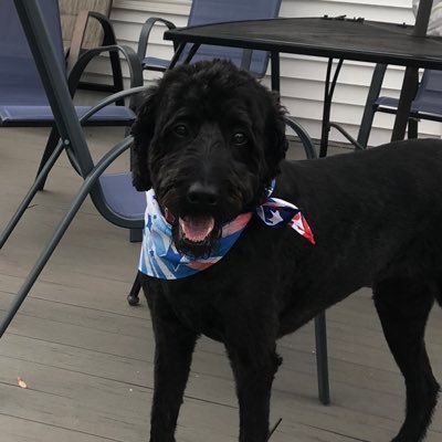 EmilyJoCooper75's profile picture. 