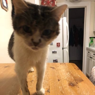 camille_rmf's profile picture. #