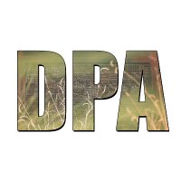 Studio DPA(@studioDPA) 's Twitter Profile Photo