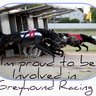 proudracers's profile picture. This is for those of us proud to be involved in Greyhound Racing! 

Using this and our facebook page to spread the word and joy of greyhound racing! :)