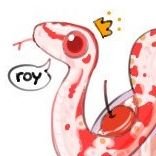 Cherish_Roy_S2's profile picture. 로이, 제티, 찰떡이의 일상♥️