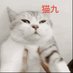 昔日雪夜包子铺 (@maoaotian) Twitter profile photo 昔日雪夜包子铺 (@maoaotian) Twitter profile photo