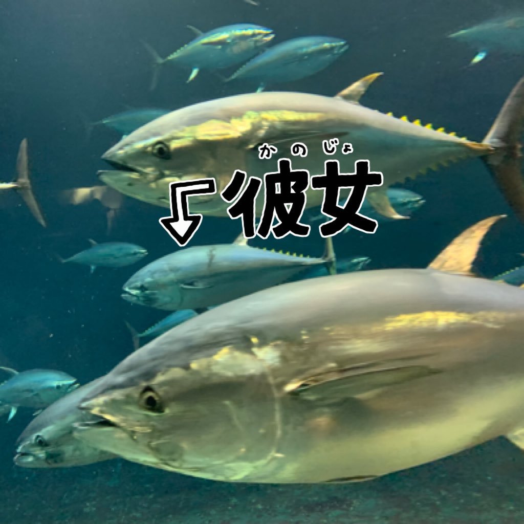 要さんのプロフィール画像