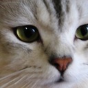 Maxinetsla.eth - @MaxineLoveU - Twitter