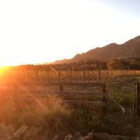 DR (@daniel43610489) 's Twitter Profile