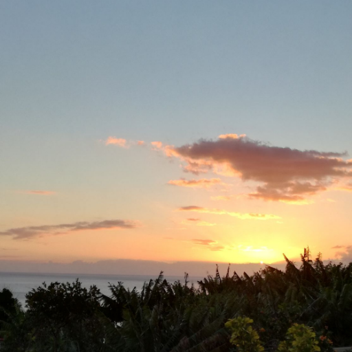 kleinerrolli's profile picture. 