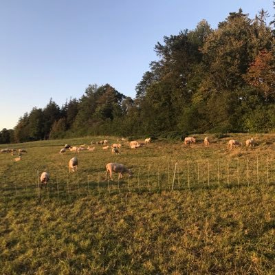 Suzy tweeting about farming & climate change as part of UVM Extension's Center for Sustainable Agriculture.