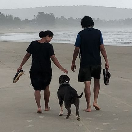 PandyaRishikeah's profile picture. Businessman, patriot, co-founder at the modern ape.