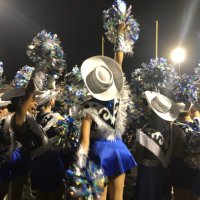 Sapphire Strutters and Royals (@struttersroyals) 's Twitter Profile