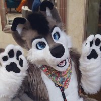Random_Husky (@random_husky) 's Twitter Profile Photo Random_Husky (@random_husky) 's Twitter Profile Photo