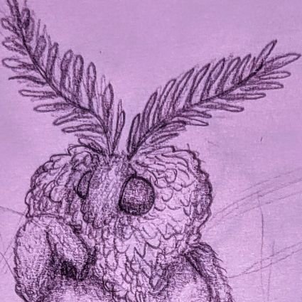 lun4mothart's profile picture. 19 • they/them • art & mëmës