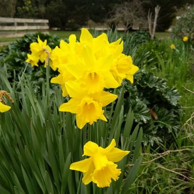 merrikitchen's profile picture. Amsterdammer, beer lover and rather partial to heavy metal