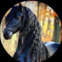 منيره (@mmasc111) 's Twitter Profile