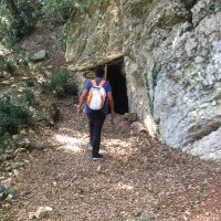 Ciro Coco (@coco_ciro) 's Twitter Profile