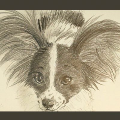 ゼラニウムさんのプロフィール画像