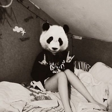 77_pandy's profile picture. Panda workaholic, amante de la música, las letras y el cine 🐼