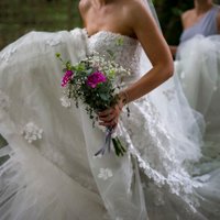 Pamela Jane Ryan (@pamelajaneryan1) 's Twitter Profile