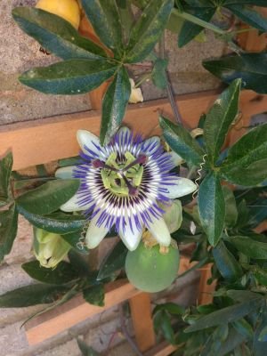 RoyWeaver20's profile picture. 