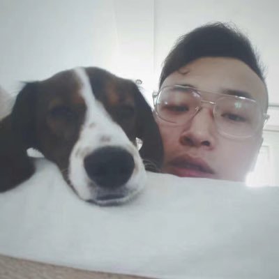 YongjingZu's profile picture. 政治正确 入过党 读过书