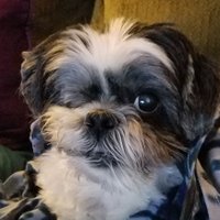 jeff rodenkirch (@jeffrodenkirch) 's Twitter Profile