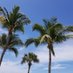 Jersey Girl in FL (@orlandofl32803) Twitter profile photo Jersey Girl in FL (@orlandofl32803) Twitter profile photo