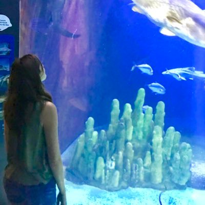 Courtney King (@CourtyyKing) / Twitter