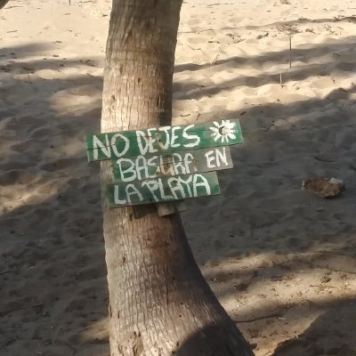 myrnafigueroa16's profile picture. Eligiendo lo mejor para mi vida. Luchando para que todos podamos tener derecho a elegir y exigir que es lo mejor para todos en nuestra sociedad Insular.