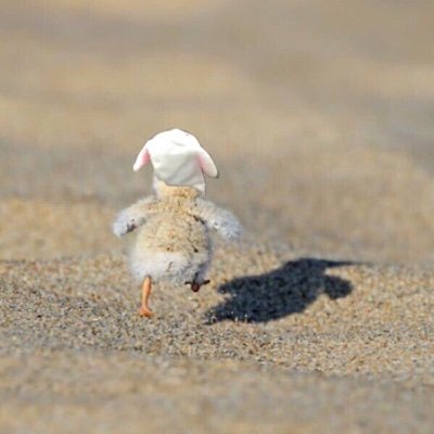 性格悪いです。それを覚悟した上で絡んでくれる人待ってます。

裏でグチグチ言ってねーで直接言えよ。





家督 〇   交換→DM来て


@souto_teahyung     うっひゃひゃ    最高