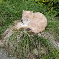 SIRIUS (@siriuswikiwyky) 's Twitter Profile Photo SIRIUS (@siriuswikiwyky) 's Twitter Profile Photo
