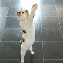 Louise Williams - @LouWilliams89 - Twitter