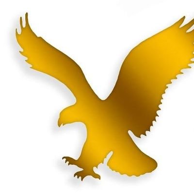 MoverEagle's profile picture. #CommercialMoving #MoverinDubai #PackingUnpacking #DismantlingFixingFurniture #CurtainsBlindsInstallation #LightCarpentry #Moving