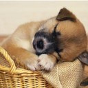 Doug Roach - @dpr10 - Twitter