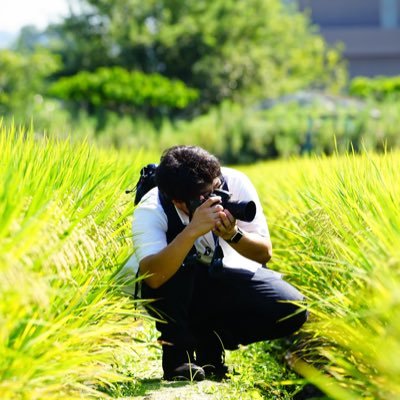 写真専用垢です。 無言フォロー＆いいね失礼します。 大阪と近畿圏を中心に風景写真と花の写真をよく撮ります。 時系列は割とバラバラです。楽しんでくれれば何よりです。 #Nikon #OLYMPUS #写真