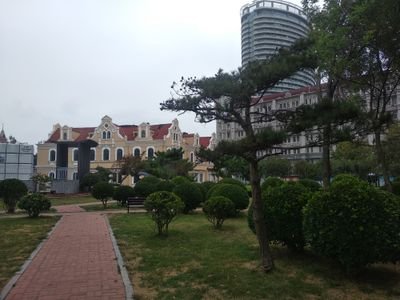 yang123123123's profile picture. 加油！