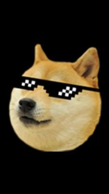 DogeScared's profile picture. 