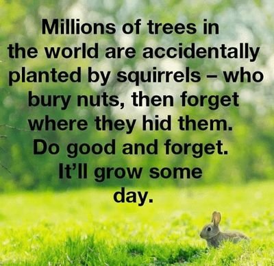 KwanitapR's profile picture. successful people have painful story,Be patience,be prayful  and learn how to run your own race, never say die,never give up, allutah continua!!!