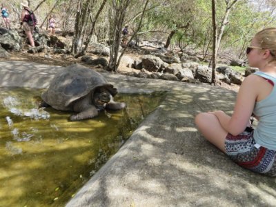 LaurenP38158557's profile picture. Secondary Science teacher in West Sussex