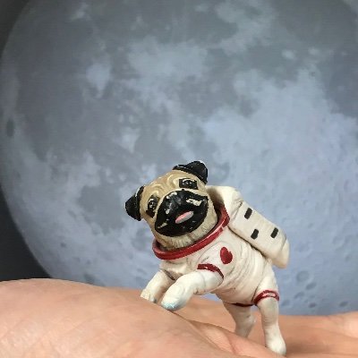 Yuri_L_st's profile picture. 社会疫学者になりたい！地方大学病院AROにいる生物統計家です/ACEs/世代間連鎖/女性のlifecourse/貧困・教育格差/虐待予防/国際保健/統計/R/Mom of 🧑👦👧 コメントは個人の見解で組織を代表するものではありません。