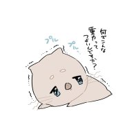まろまゆ(@maromayu328saix) 's Twitter Profile Photo
