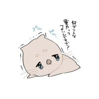 まろまゆ (@maromayu328saix) 's Twitter Profile Photo まろまゆ (@maromayu328saix) 's Twitter Profile Photo