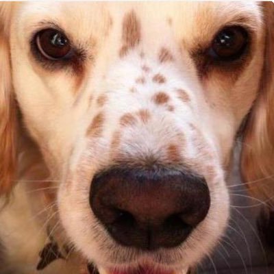 Poppy45319284's profile picture. 