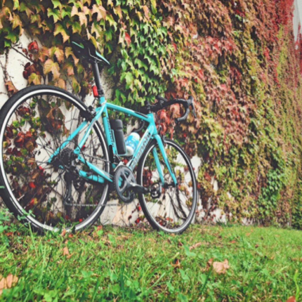 BianchChan's profile picture. 北海道❄/高校生/びあーんち/まだ自転車競技0歳児/ ※3km走ったらハンガーノック