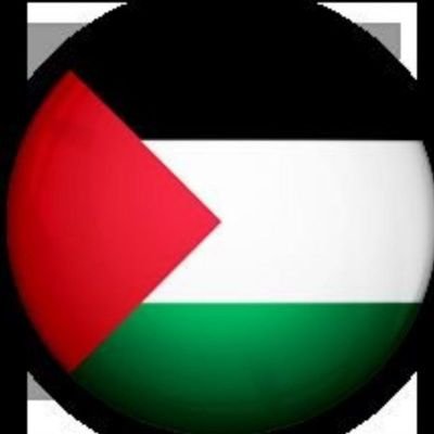 Bendera palestin dan sudan