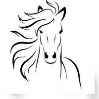 مزنة (@ghbs33) 's Twitter Profile