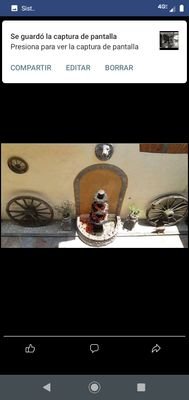 Milis50248482's profile picture. 