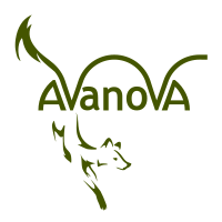 Avanova (@avanovadesign) 's Twitter Profile