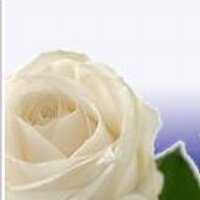 Alpha Omega Epsilon (@aoesorority) 's Twitter Profile