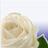 AOESorority's profile image